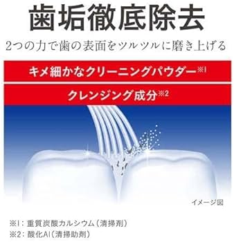 Amazon | ライオン デンター 歯磨き粉 歯垢除去 クリアMAX